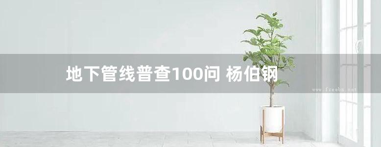 地下管线普查100问 杨伯钢